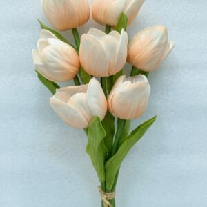 Tulip Medium Bunch