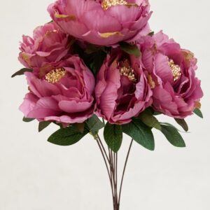 Peony Open Bunch