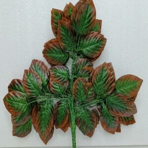 New Pipal Leaves